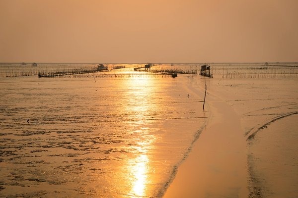 Guide pour organiser un séjour camping en groupe