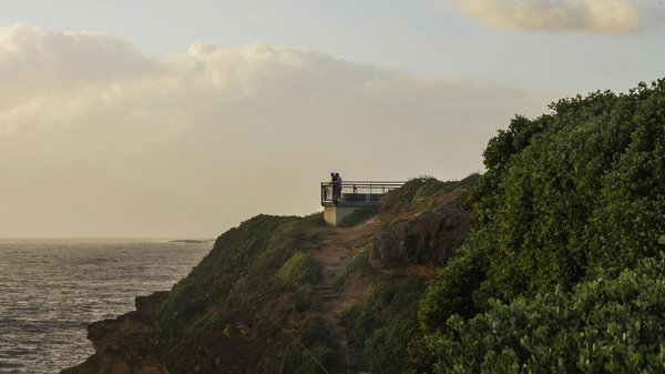 L'importance de la préservation des fonds marins lors des croisières de plongée